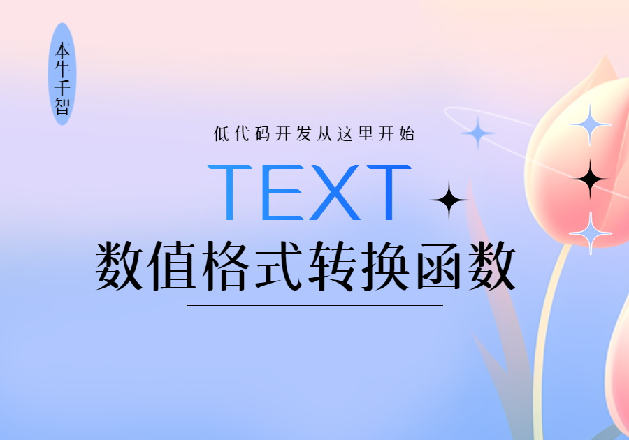 TEXT()函数将数值转换为按指定数字格式表示的文本。 -本牛千智|专注WorkFine